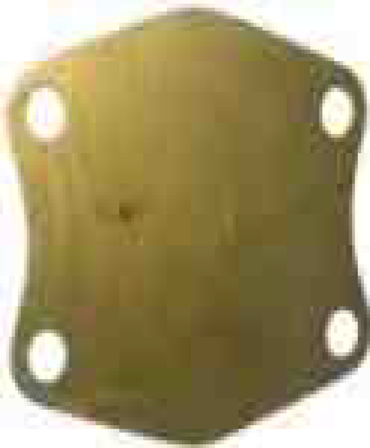 WATER PUMP PLATE BRASS